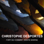Christophe Desportes