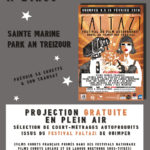 Projection gratuite en plein air