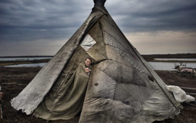 Yamal peninsula, north-west Siberia, Russia:Three  Nenet  families live on the tundra in a reindeer-skin tents or chums (ital); the group has around 600 reindeer.