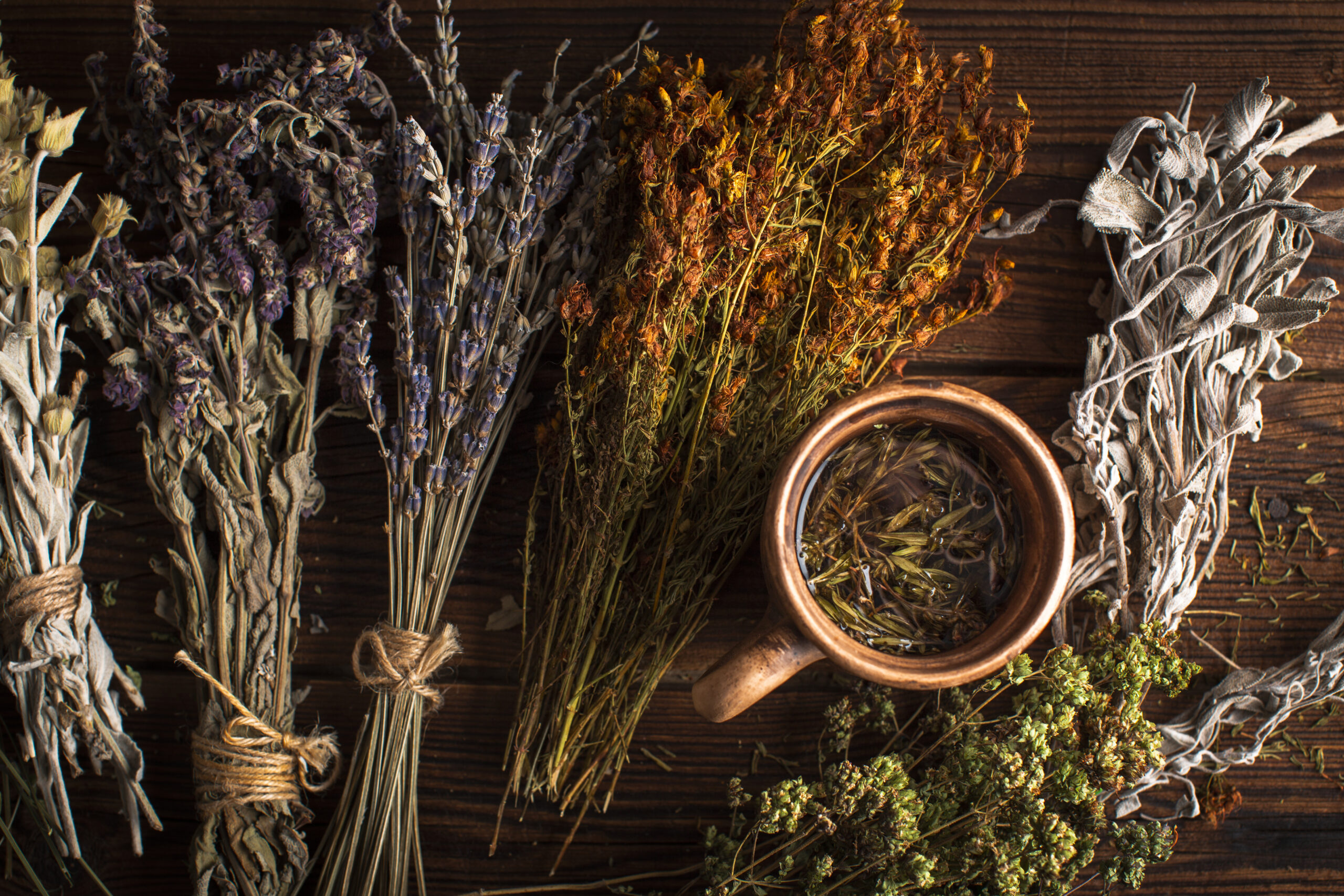 Visite d'un producteur de plantes médicinales et aromatiques