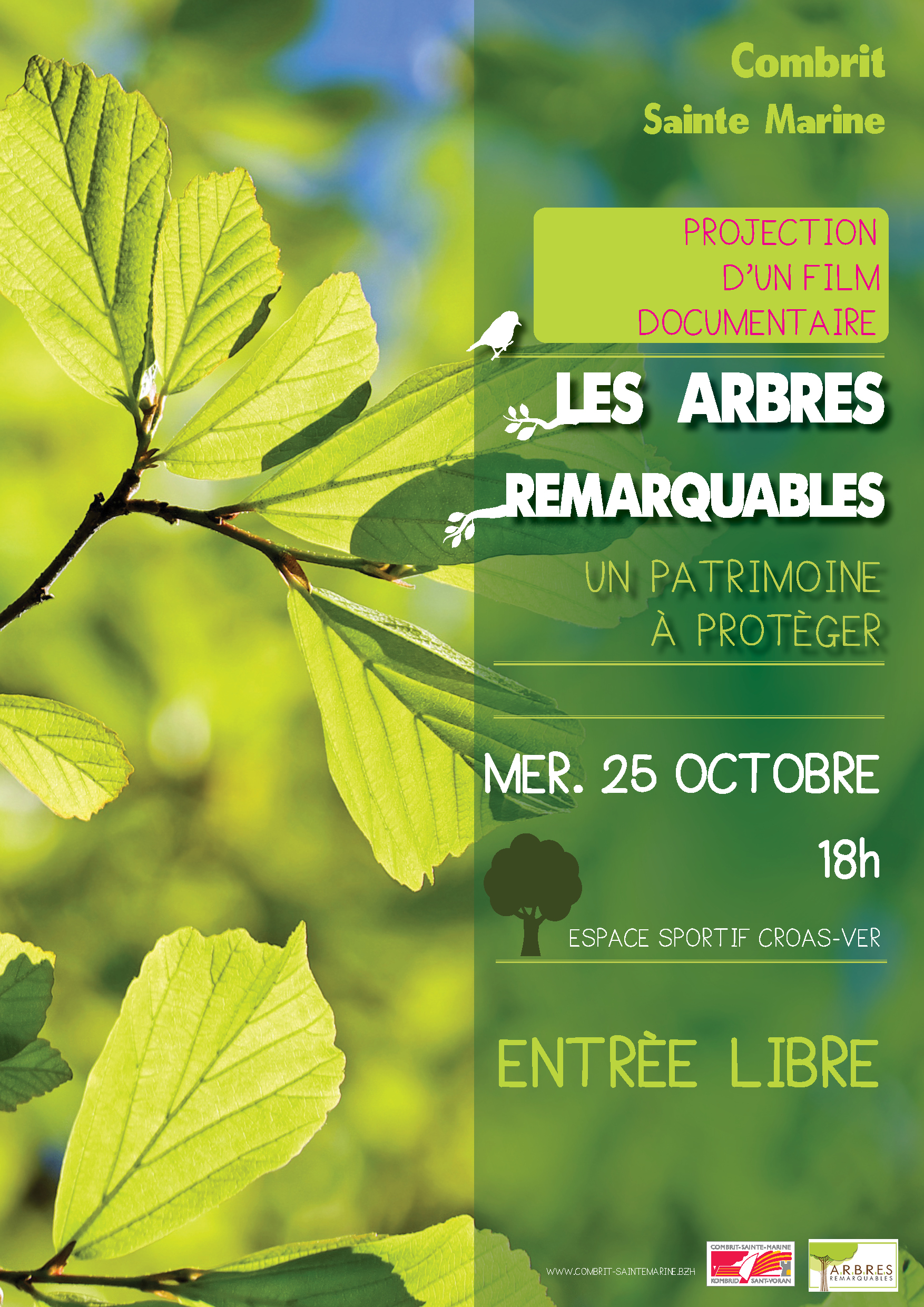 Projection du film "Les Arbres remarquables"