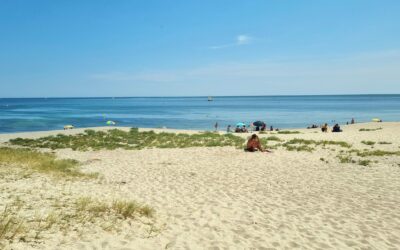 Sainte Marine - plage de Penmorvan - printemps été - juin 2023 - S Peuziat (1)