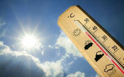 alerte canicule
