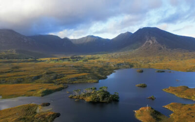 IRLANDE Île aux Pins Connemara