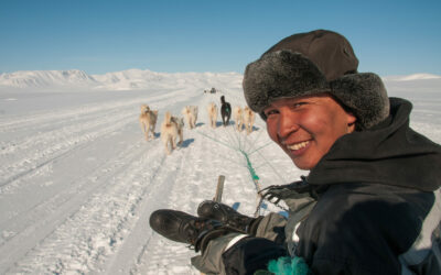 TERRES BOREALES ARCTIQUE 3