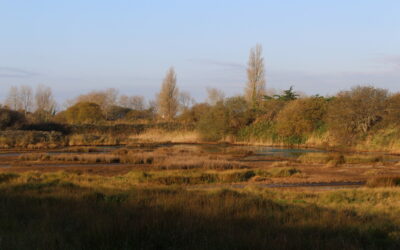 Polder-Novembre2017-SandrineGalipot (4)