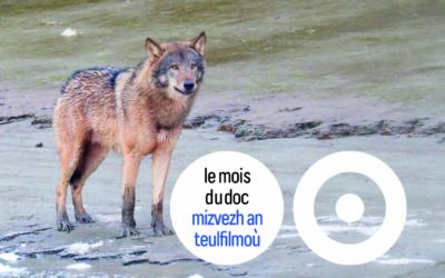 affiche loup y es-tu _
