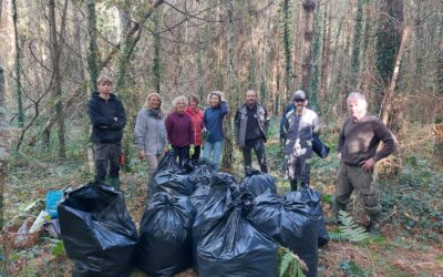 opération-dégainage-bois-de-roscouré-octobre2025-JulienMartin