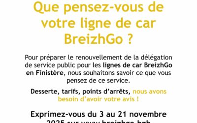 Affiche concertation 29