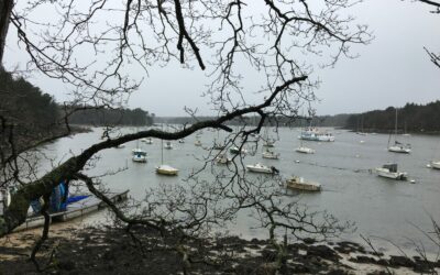 PortSainteMarine-Février2024-SandrineGalipot (10)