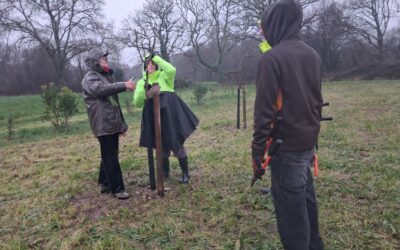 VergerPenMorvan-Février2026-SandrineGalipot (3)