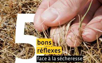 5gestes
