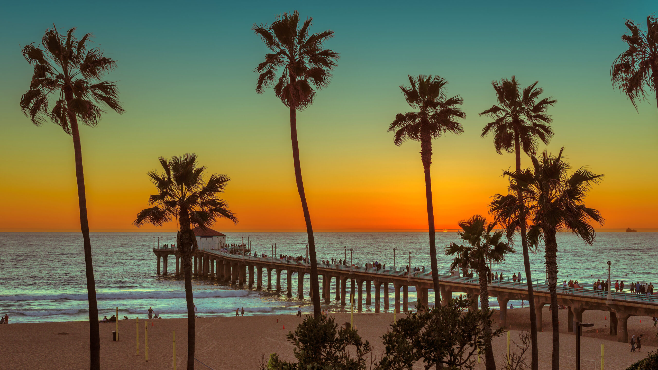 Ciné-Docs : Los Angeles