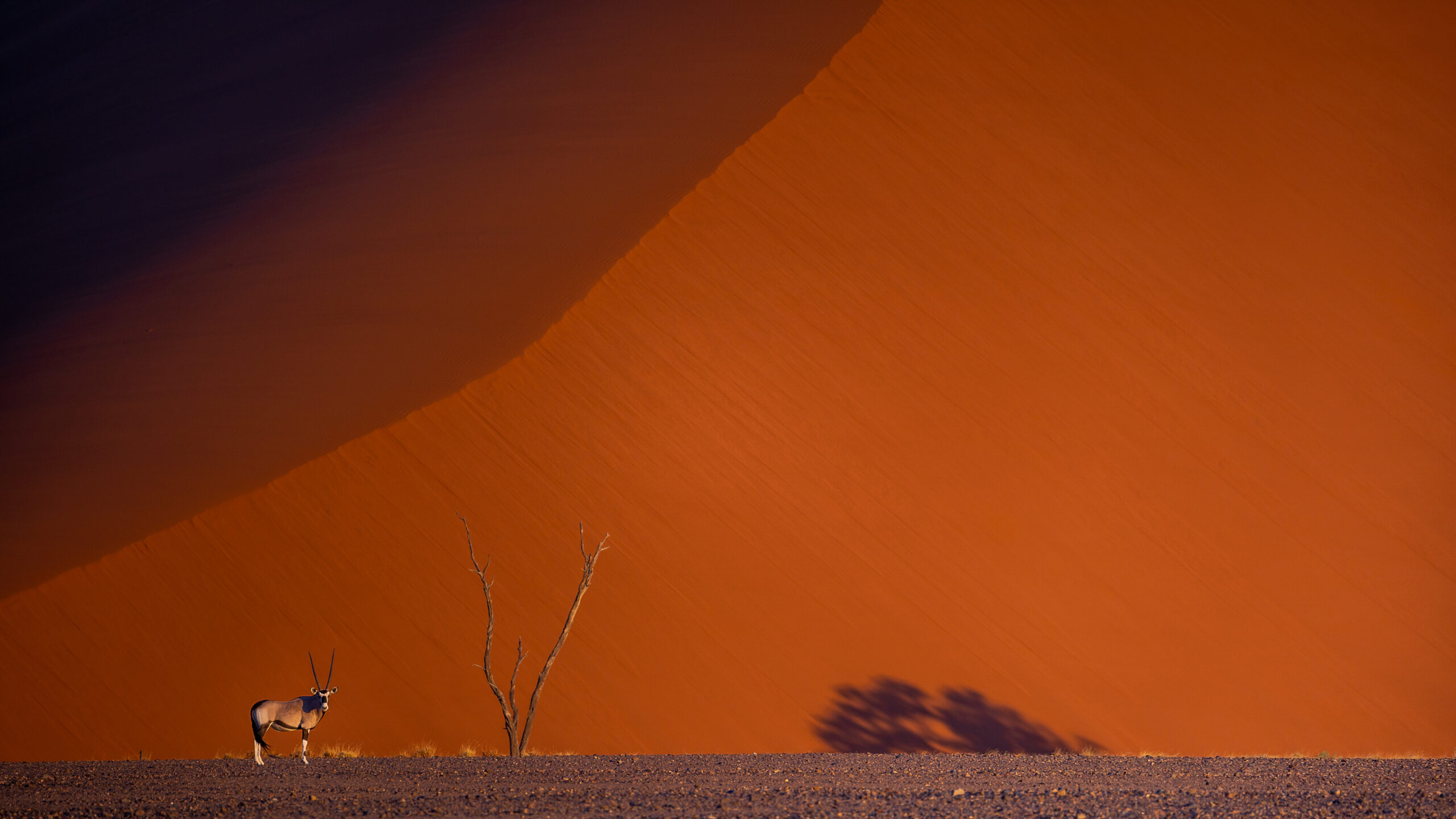 Ciné-Docs : Namibie