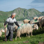 Ciné-Docs : Pyrénées