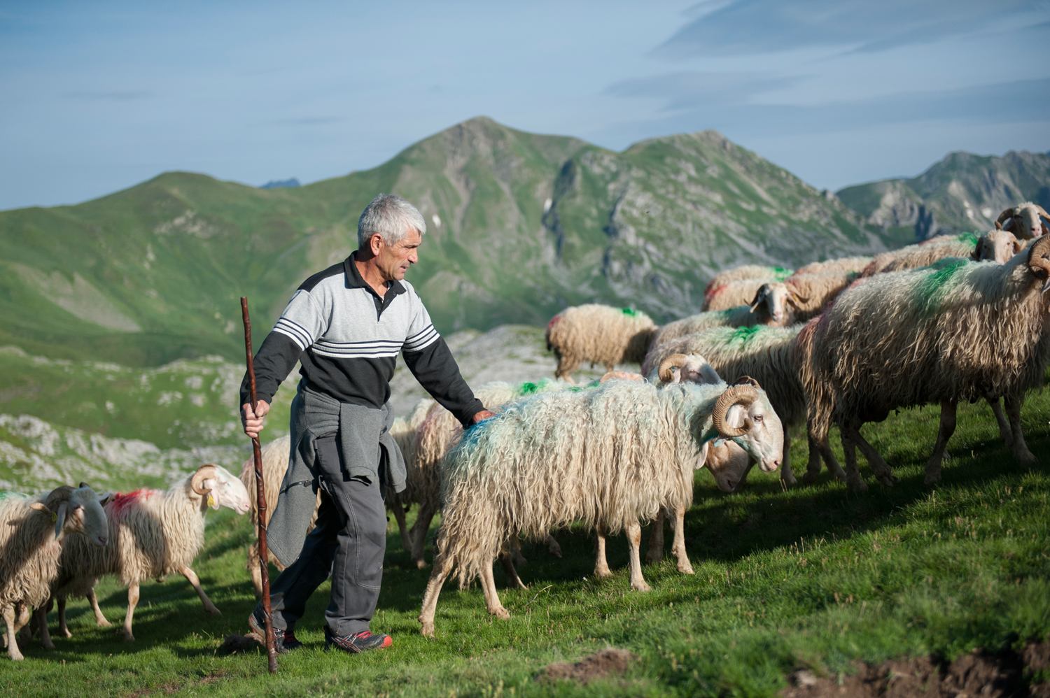 Ciné-Docs : Pyrénées